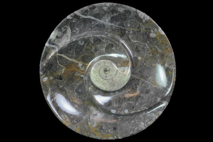 Round Fossil Goniatite Dish #74005